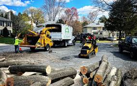 Best Tree Risk Assessment  in Jeannette, PA